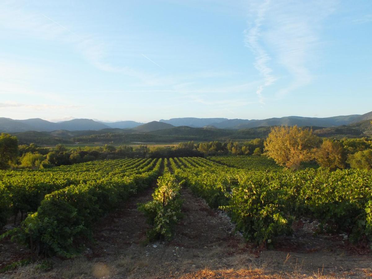 Bed and Breakfast Sur La Bonnefooi Prades-sur-Vernazobre Esterno foto